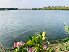 -溱湖国家湿地公园