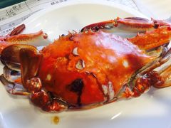 -赶海部落海鲜城(海阳路店)