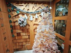 -MOCHA明星猫咖(田子坊店)