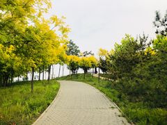 -东郊湿地公园