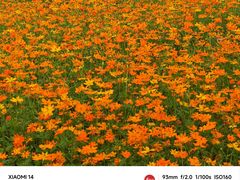 -洋湖国家湿地公园