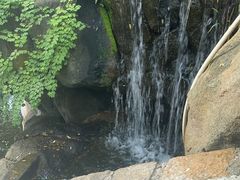 -九龙公园