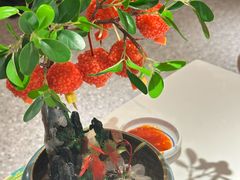 -奔跑吧陕菜·盛世长安(民乐园万达店)