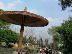 -铁山坪森林公园