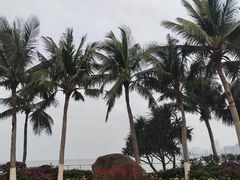 -万绿园