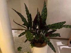 -泰合玺·精油疗愈 SPA(南京河西万达店)
