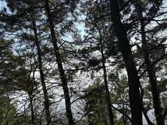 -敬亭山风景名胜区