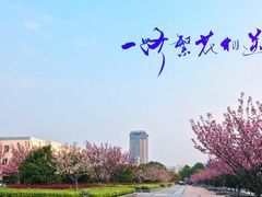 -南京航空航天大学(将军路校区)