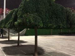 -西宁市东关清真大寺