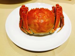 清蒸大闸蟹-王宝和酒家(黄浦店)