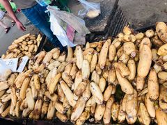 -重振华中蔬菜批发市场(重庆中路店)