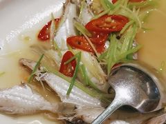-大浪潮·潮汕菜·招牌生腌小青龙(福田店)