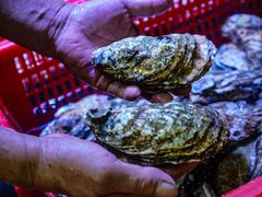 -巽寮印象美食部落餐厅·海鲜·地方特色菜(惠州体验店)