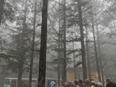 -白草畔自然风景区