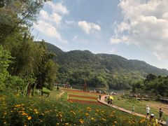-广州市石门国家森林公园