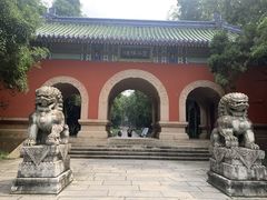 -灵谷景区