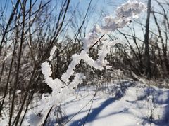 -中旅松花湖滑雪场