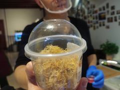 -周先生石花膏