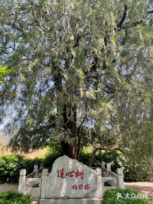 石经山风景区图片