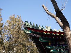 -贤良祠
