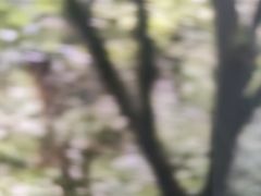 -鸿山遗址博物馆