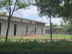 -石家庄市动物园