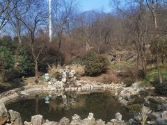 -南京老山国家森林公园