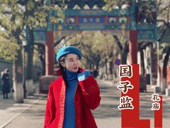 -北京国子监胡同