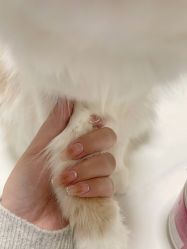 -悦己美甲美睫