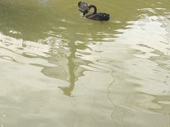 -森林公园(尖草坪区)