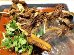 -杨氏青龙虾·羊蝎子(托乐嘉店)