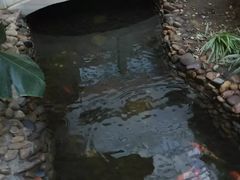 -陆地游轮吉林神农温泉