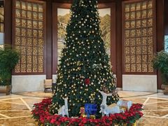 -上海圣淘沙万怡酒店