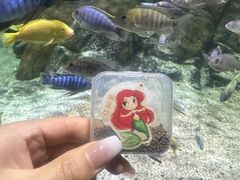 -江和美海洋公园
