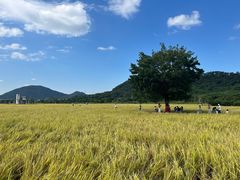 -艾米稻香小镇