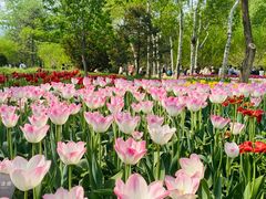 -北京植物园南门售票处