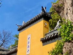 -汤森悠生活文化汤(江宁万达店)