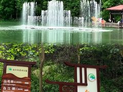 -广州白江湖森林公园