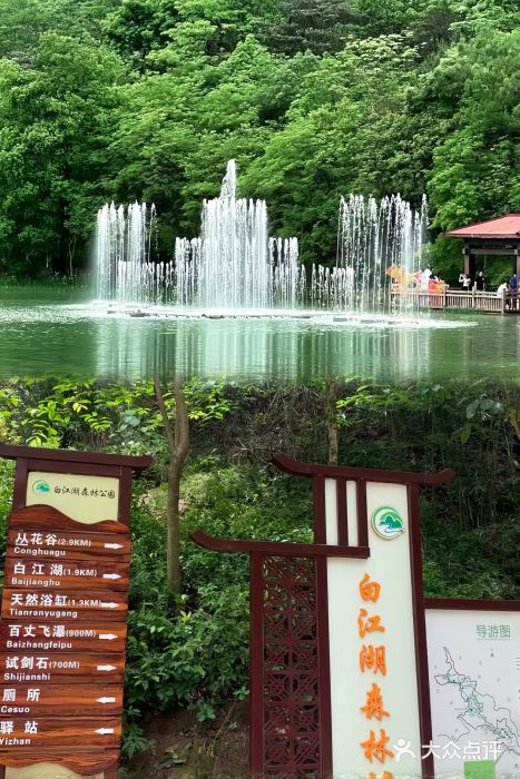 广州白江湖森林公园图片