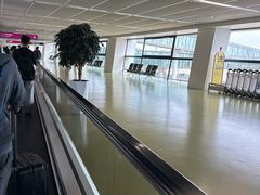 -郑州新郑国际机场-T2航站楼