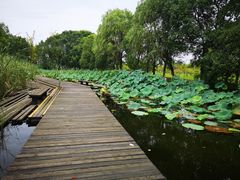 -梁鸿国家湿地公园