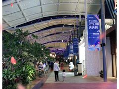 -三亚海昌梦幻海洋不夜城