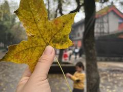 -大雁塔北广场音乐喷泉