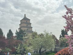 -大慈恩寺(大雁塔)