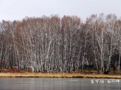 -塞罕坝国家级自然保护区