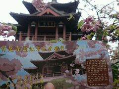 -西安青龙寺遗址景区