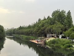 -昆山城市生态森林公园