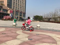 -紫荆广场·花漫里