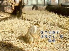 -新疆天山野生动物园