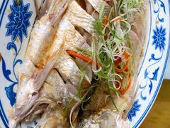 清蒸白水鱼-状元楼(金溪路店)